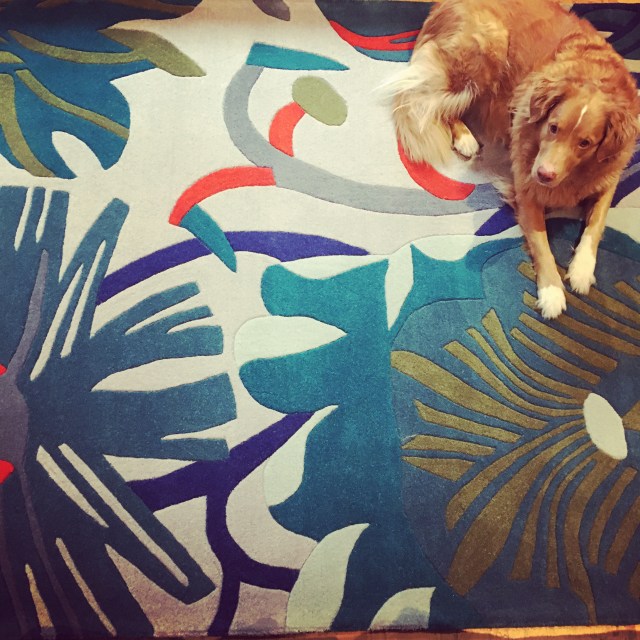 F5A4ED83-9B53-47B2-B597-F8D651A526C5