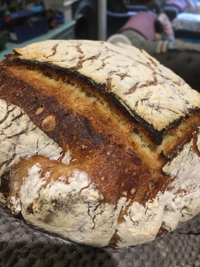 60906783091__3FBCCF6B-382A-45CD-A7CF-76B77EE90565