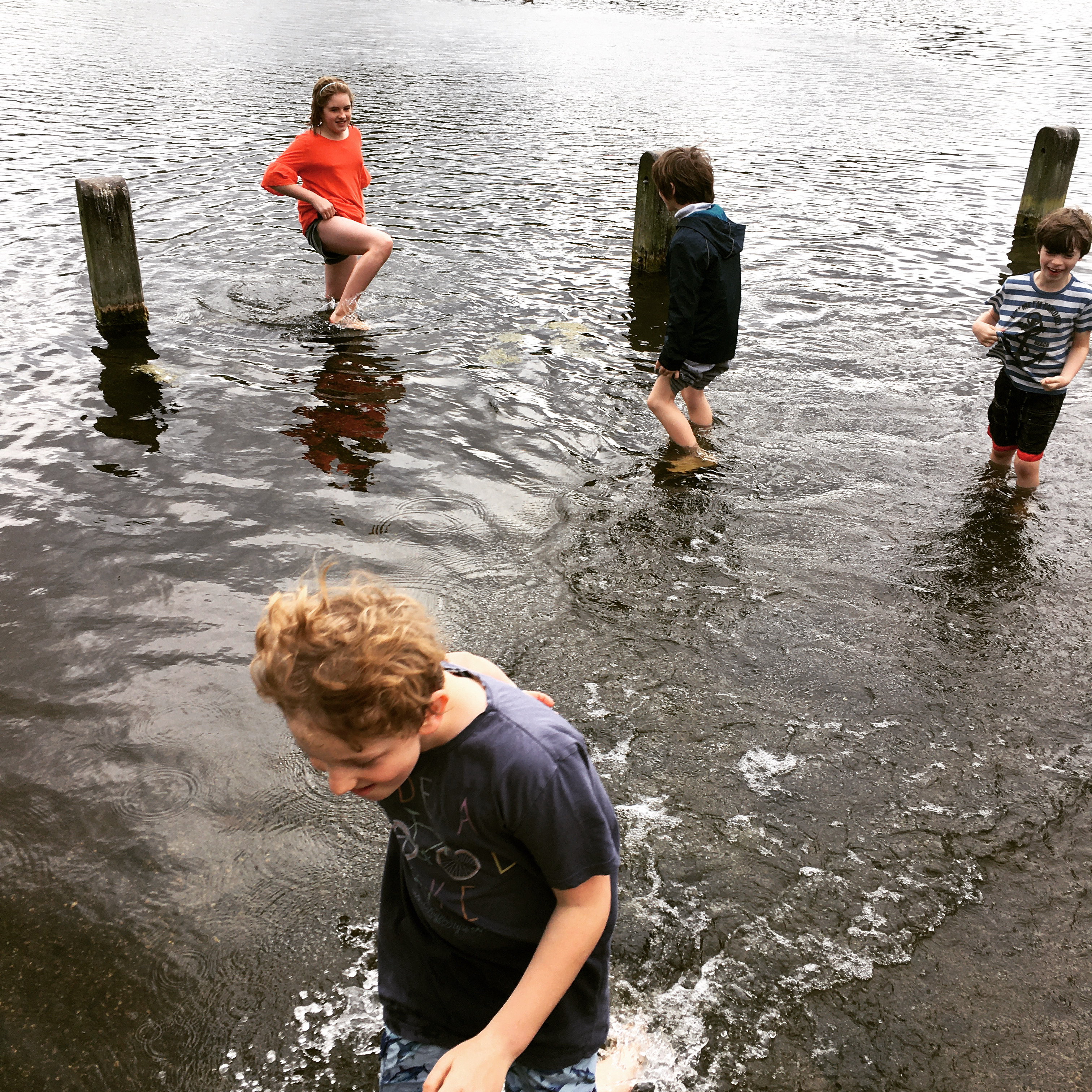 5980DE32-5541-426E-A61F-7FA4EBD4F153