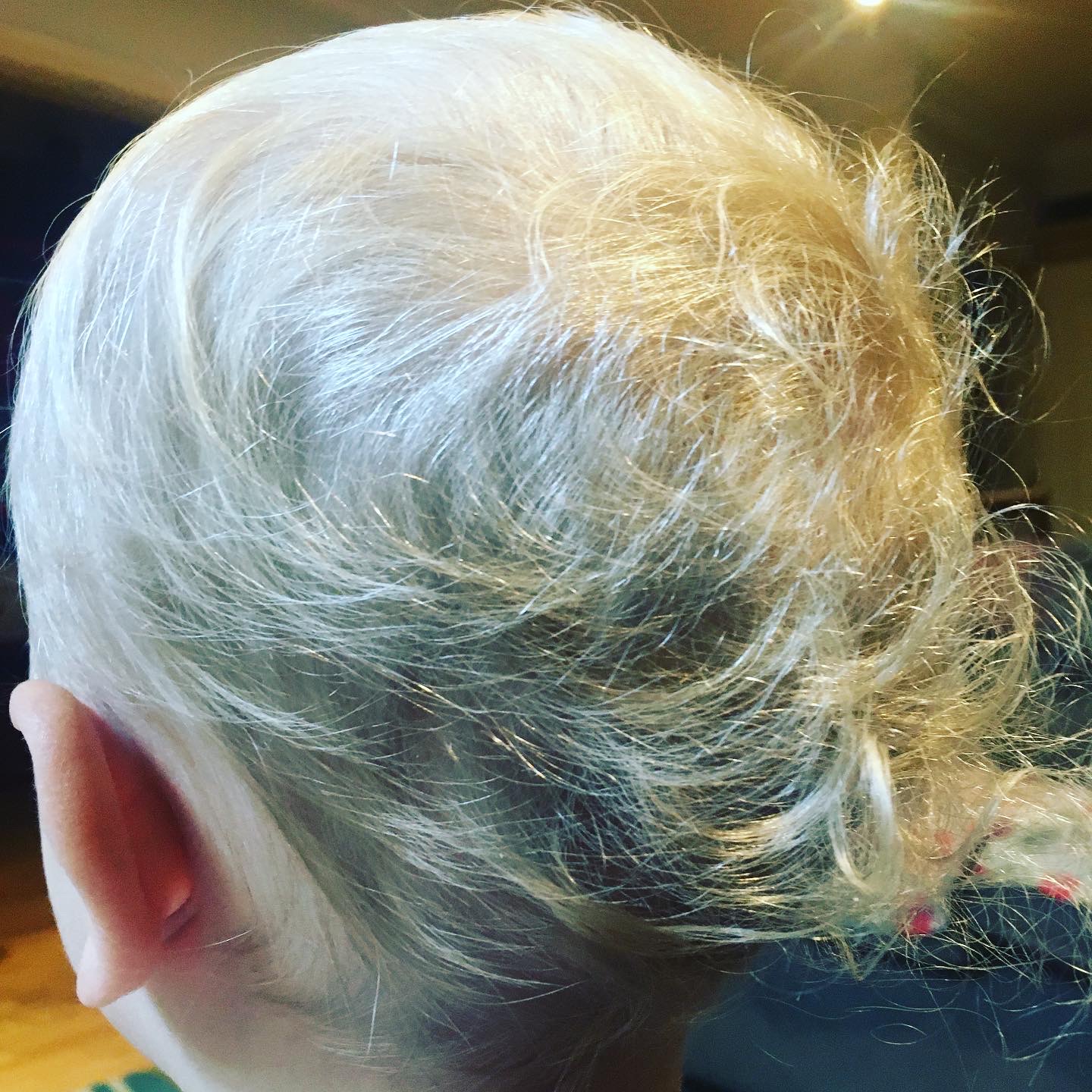 51F1F9DA-C547-4EB0-ACEF-3316266F6A0A