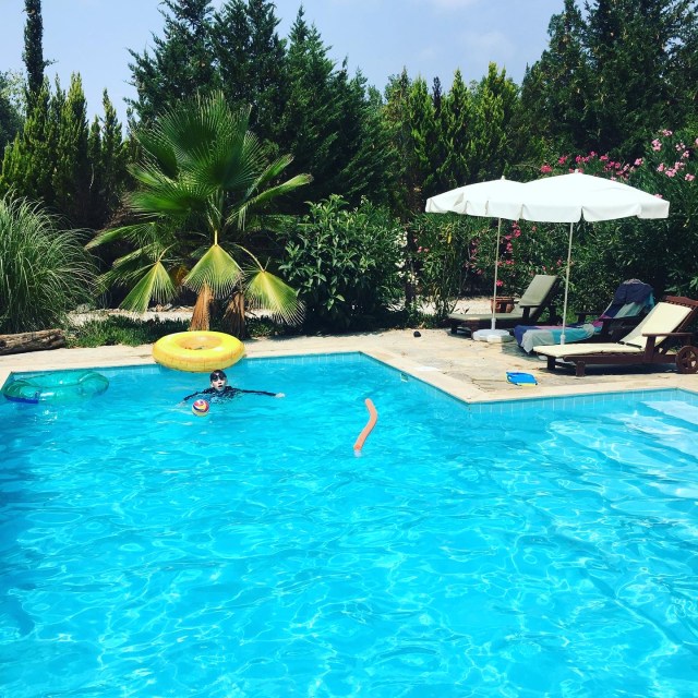 5BAA56DE-14AE-4AD3-ACF3-C4599F5DD82B