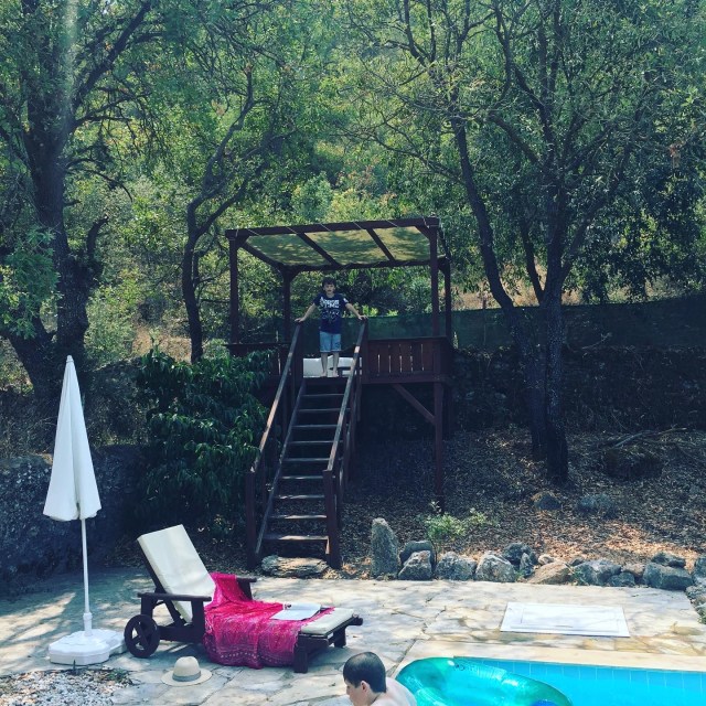 8572C909-11AB-403D-9F68-84E5E6335C5D