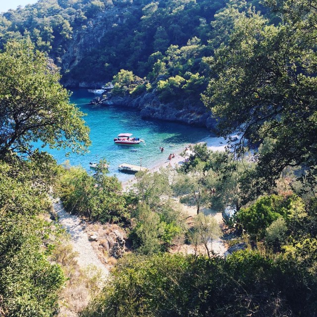 900FA607-6362-4781-B423-2C1466D5C177